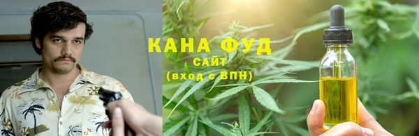 дмт Алзамай