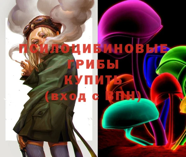 дмт Алзамай