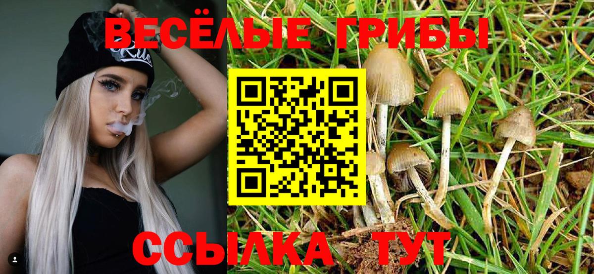 Галлюциногенные грибы мухоморы Ухта