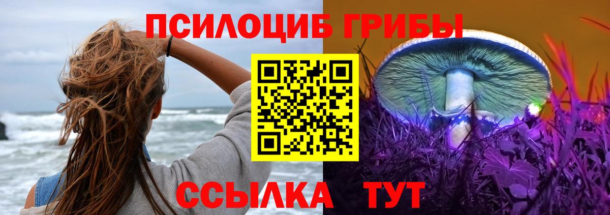 где можно купить наркотик  Галлюциногенные грибы Psilocybe  Вход с VPN  Ухта 